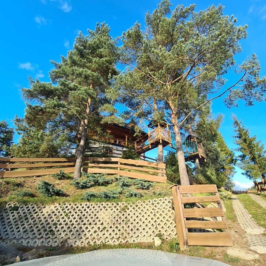 Шале Domek Góralski nad Czorsztynem - Kluszkowce Клюшковце-8