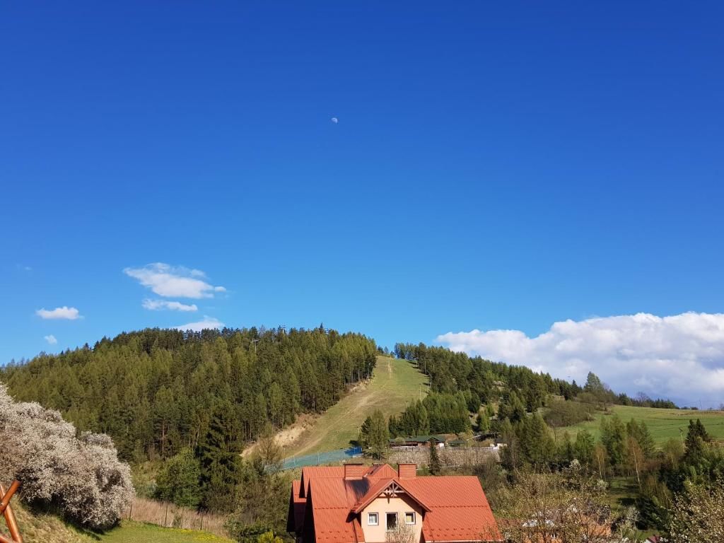 Шале Domek Góralski nad Czorsztynem - Kluszkowce Клюшковце-72
